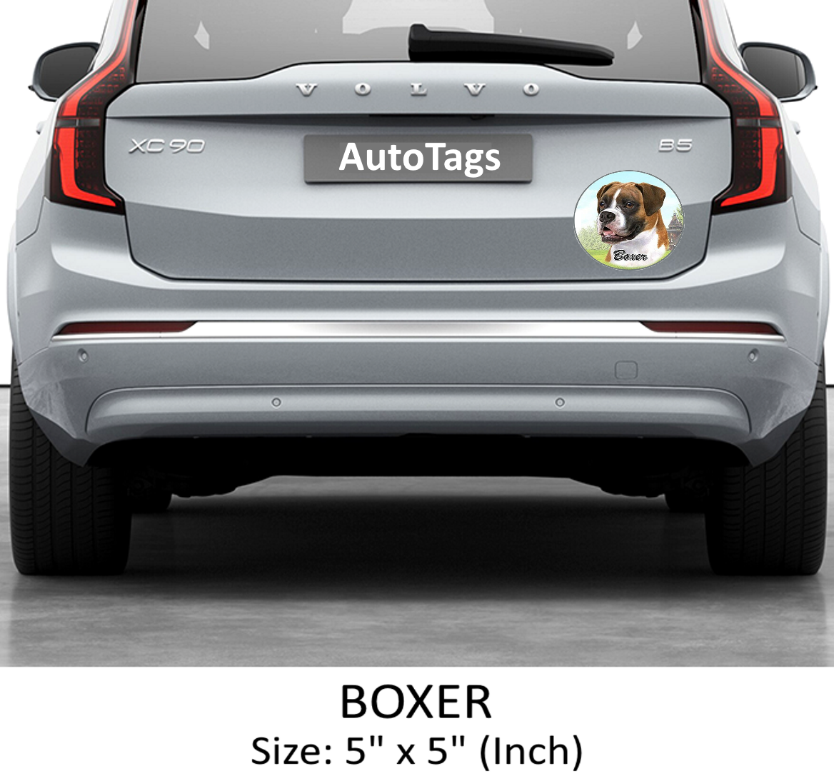 BOXER